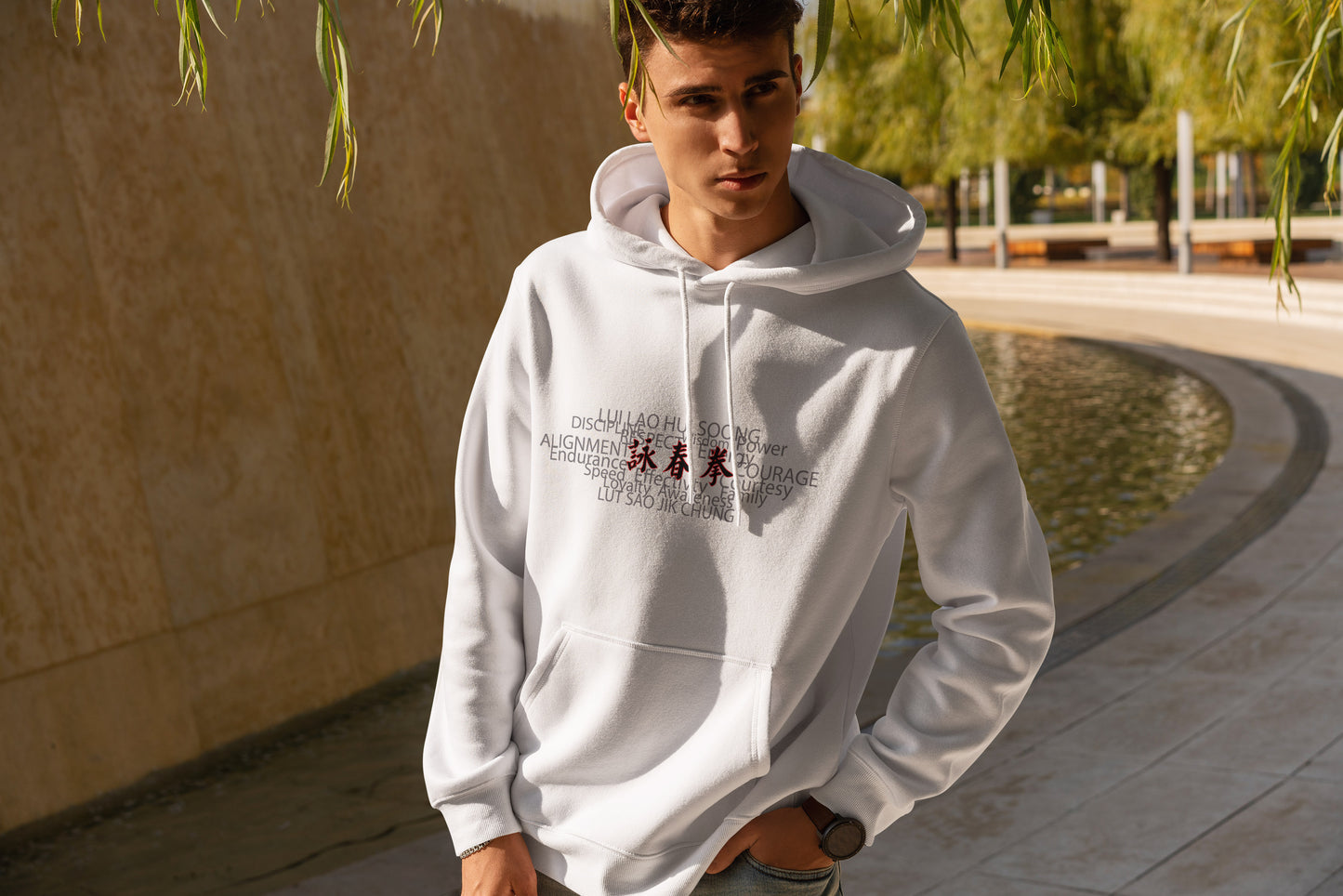 Kung Fu Principles - Oversized Premium Hoodie