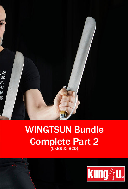 WingTsun Bundle - Part 2