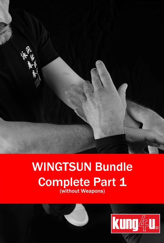 WingTsun Bundle - Part 1