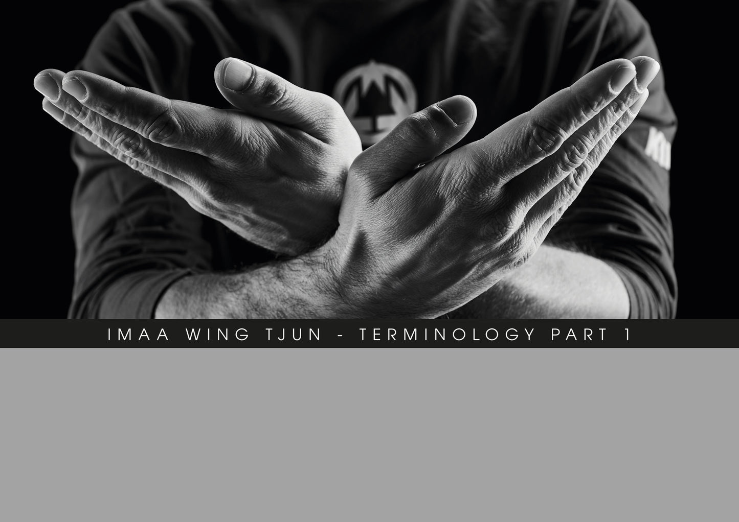 "WingChun" - Terminology Part 1