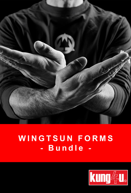 WingTsun Forms - Bundle