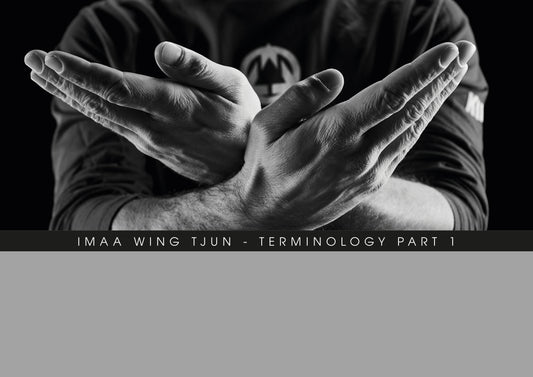 "WingChun" - Terminology Part 1
