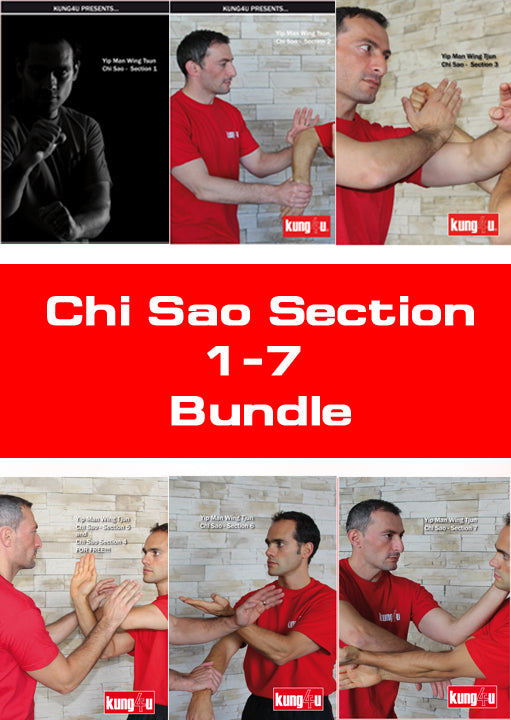 WingTsun Chi-Sao Bundle