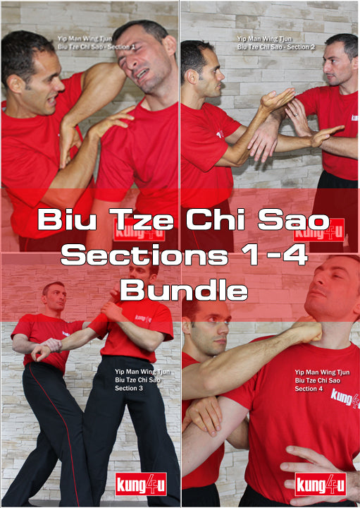 WingTsun Biu Tze Chi-Sao Bundle