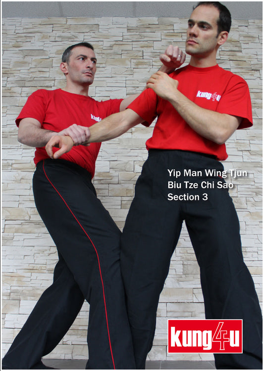 Kung4u - 3rd Biu Tze Chi Sao Section in HD